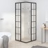 Cabina de ducha ESG esmerilado negro 80x80x180