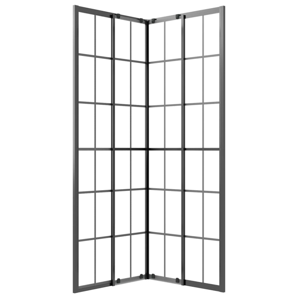 Cabina de ducha ESG esmerilado negro 80x80x180