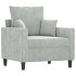 Sillón de terciopelo gris claro 60