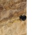 Mesitas de noche 2 uds madera maciza de mango 40x33x46