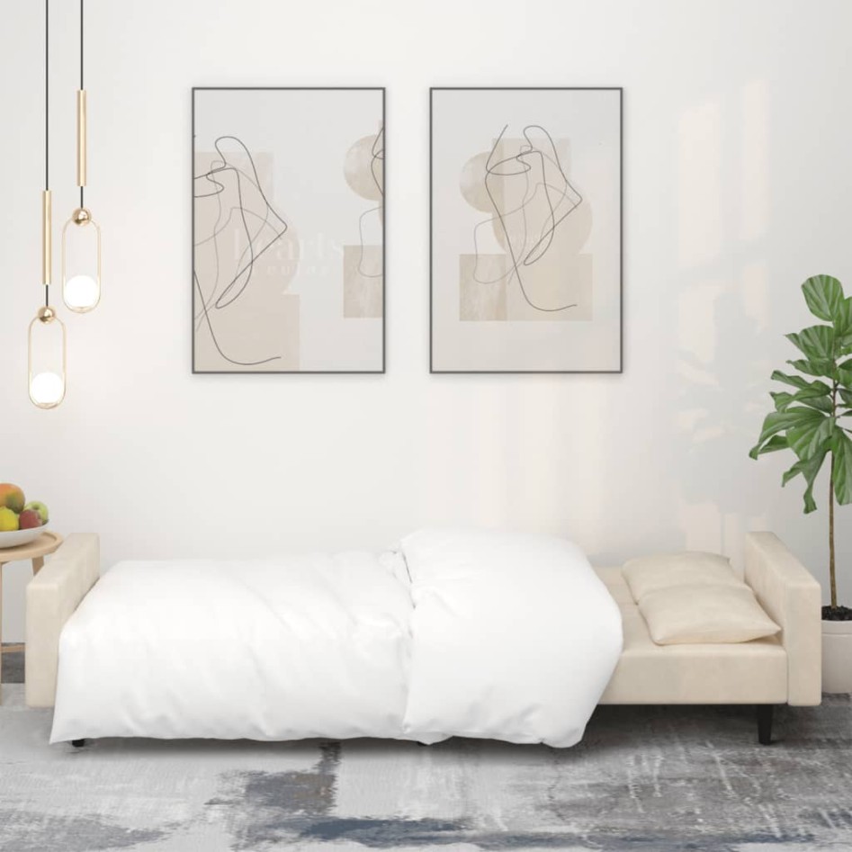 Sofá cama de 2 plazas con dos almohadas terciopelo color