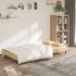 Sofá cama de 2 plazas con dos almohadas terciopelo color