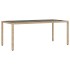 Mesa de jardín superficie de vidrio ratán PE beige 190x90x75