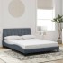 Estructura de cama luces LED terciopelo gris oscuro 140x190