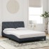 Estructura de cama sin colchón terciopelo gris oscuro