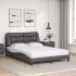 Estructura cama con luces LED cuero sintético gris 120x200