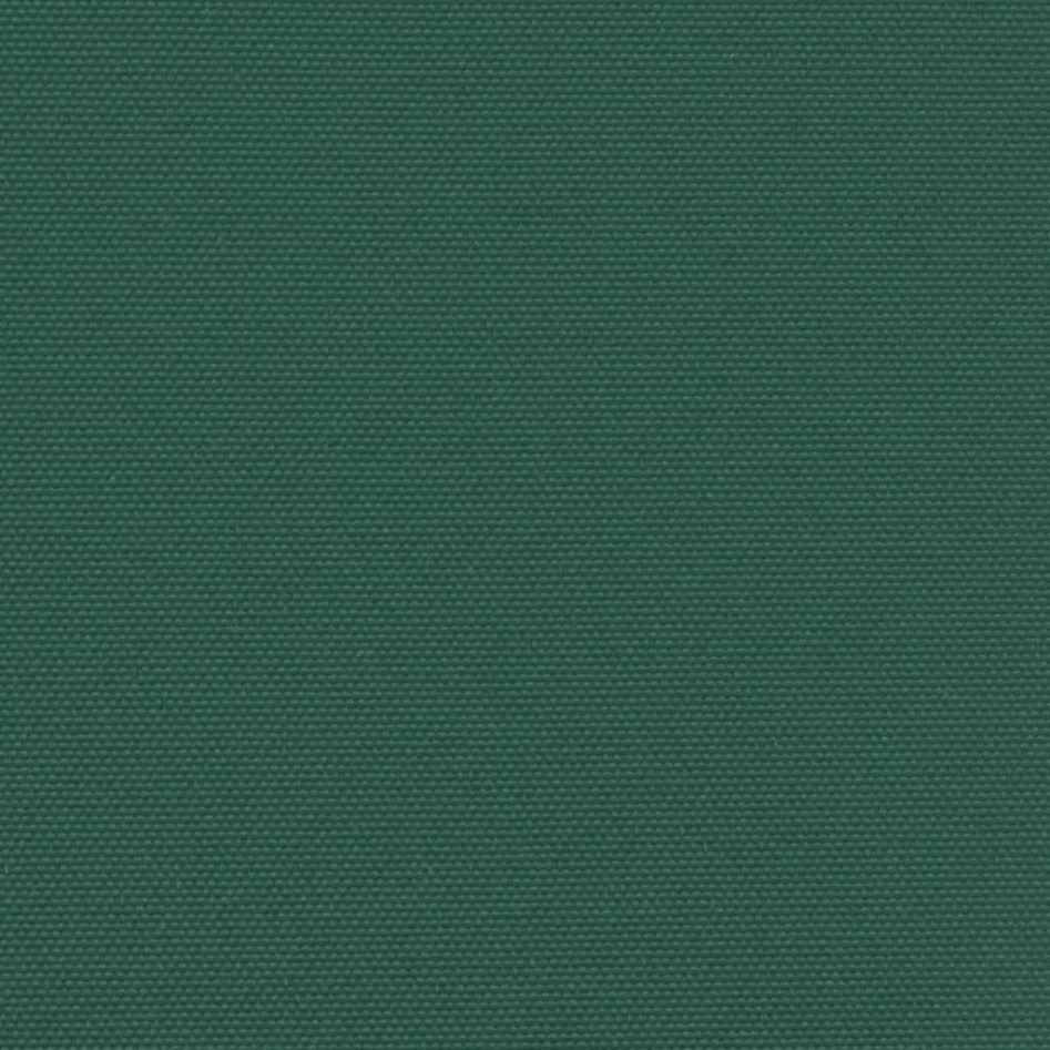 Toldo lateral retráctil verde oscuro 220x600