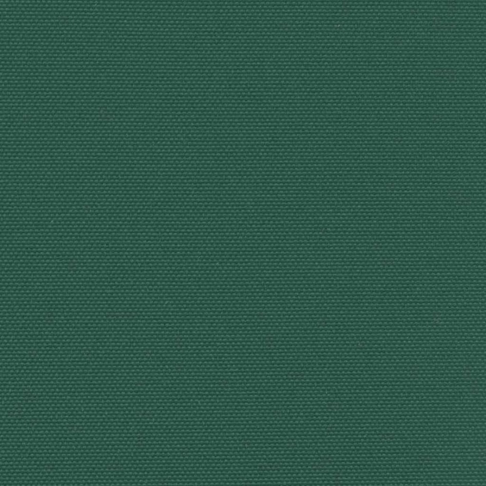 Toldo lateral retráctil verde oscuro 160x300