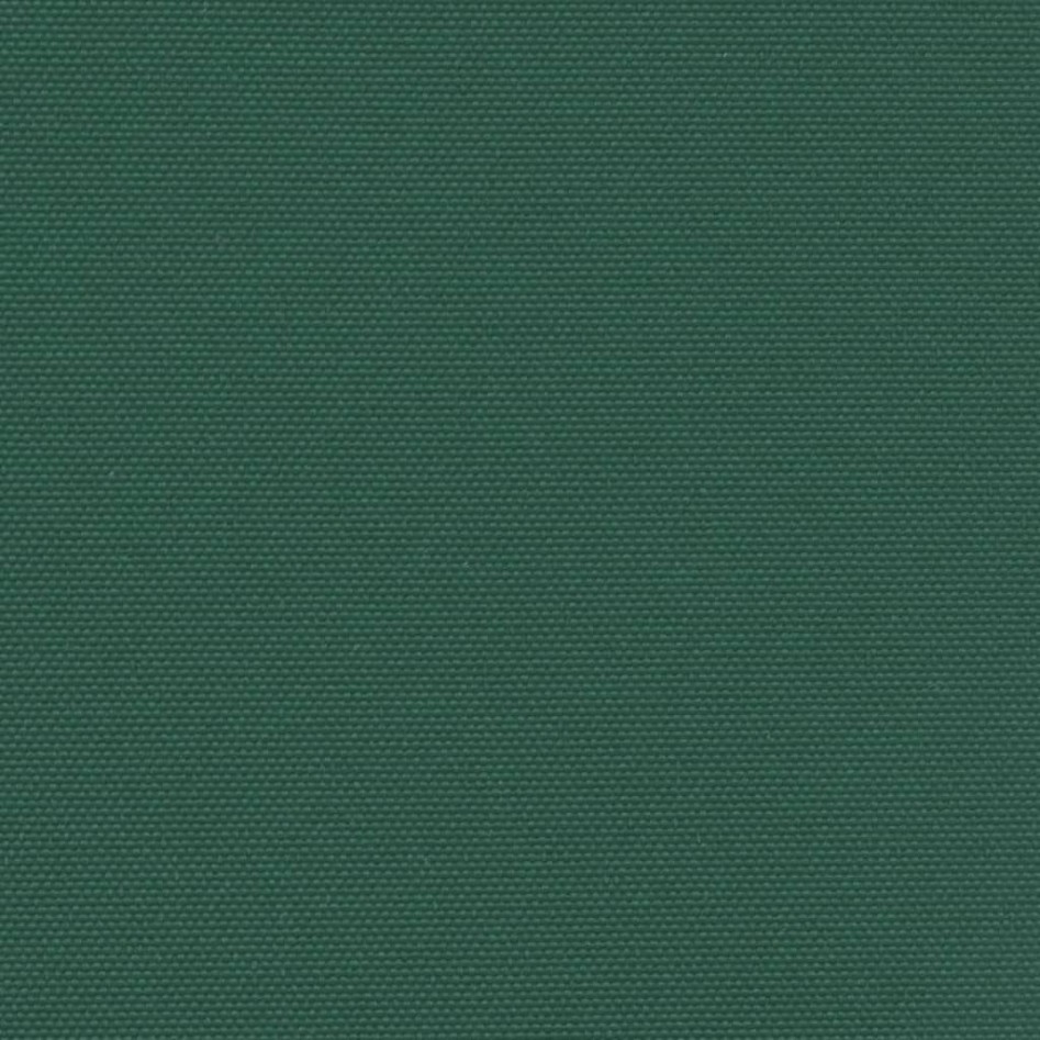 Toldo lateral retráctil verde oscuro 120x600