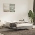 Estructura de cama sin colchón terciopelo gris claro 120x190