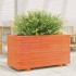 Jardinera madera maciza de pino marrón cera 90x40x49,5