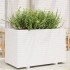 Jardinera de madera maciza de pino blanca 110x60x72