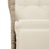 Silla de jardín reclinable con cojines ratán sintético