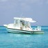 Set de toldo T-Top extensión blanco 170x170x(113-182,5)