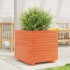 Jardinera madera maciza de pino marrón cera 50x50x49,5