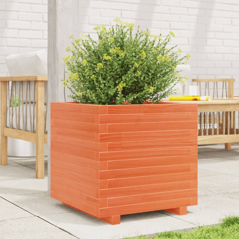 Jardinera madera maciza de pino marrón cera 50x50x49,5