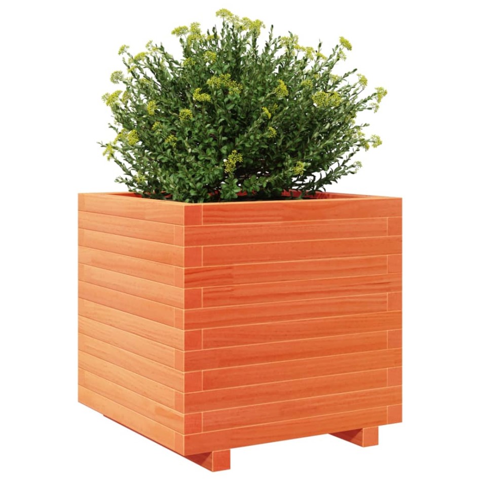 Jardinera madera maciza de pino marrón cera 50x50x49,5