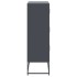 Aparador de acero gris antracita 68,5x38,5x123,5