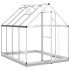 Invernadero con marco base aluminio plateado 224x169x202