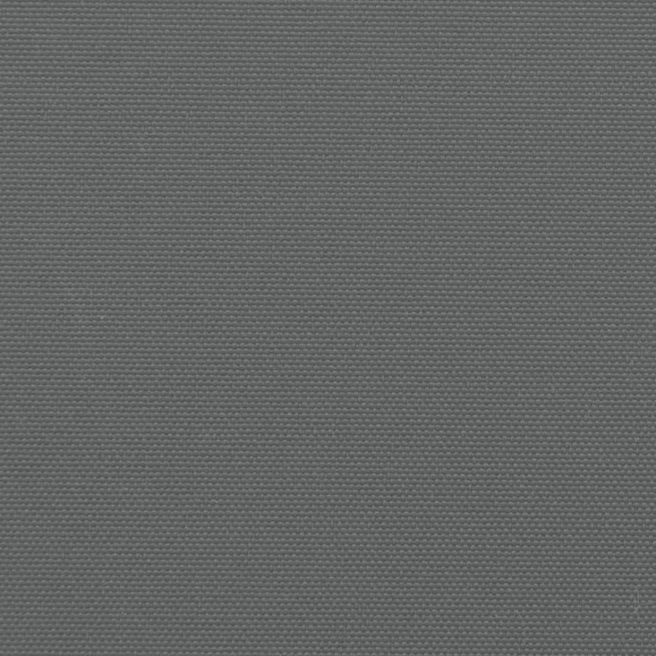 Toldo lateral retráctil gris antracita 200x600