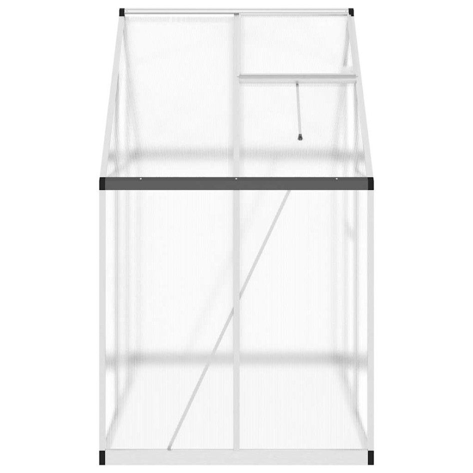 Invernadero con marco base aluminio plateado 169x114x195