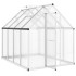 Invernadero con marco base aluminio plateado 224x169x195