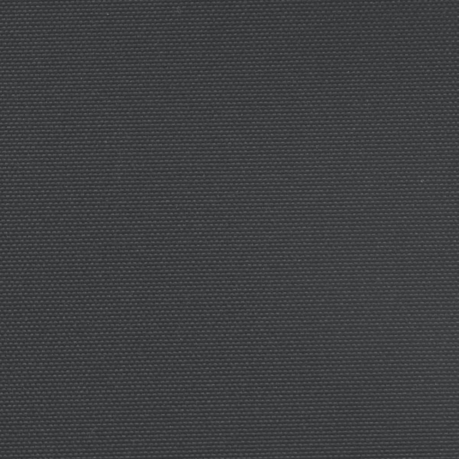 Toldo lateral retráctil negro 220x600