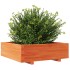 Jardinera de madera maciza de pino marrón cera 80x80x26,5