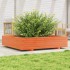 Jardinera de madera maciza de pino marrón cera 110x110x26,5