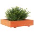 Jardinera de madera maciza de pino marrón cera 110x110x26,5