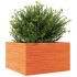 Jardinera de madera maciza de pino marrón cera 80x80x45,5