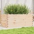 Jardinera de madera maciza de pino 110x60x45,5