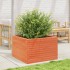 Jardinera madera maciza de pino marrón cera 70x70x45,5