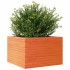 Jardinera madera maciza de pino marrón cera 70x70x45,5