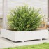 Jardinera madera maciza de pino blanco 100x100x26,5