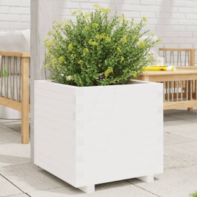 Jardinera madera maciza de pino blanco 60x60x49,5