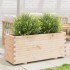 Jardinera madera maciza de pino 110x40x49,5