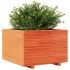 Jardinera madera maciza de pino marrón cera 70x70x49,5
