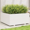 Jardinera madera maciza de pino blanco 100x100x49,5 cm
