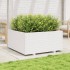 Jardinera madera maciza de pino blanco 100x100x49,5
