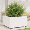 Jardinera madera maciza de pino blanco 90x90x49,5 cm