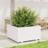 Jardinera madera maciza de pino blanco 90x90x49,5