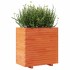 Jardinera madera maciza de pino marrón cera 70x40x72