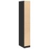 Armario de madera de ingeniería negro 30x50x200