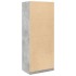 Armario de madera de ingeniería gris hormigón 80x50x200