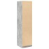 Armario de madera contrachapada gris hormigón 50x50x200