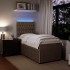 Cama box spring con colchón terciopelo gris claro 100x200