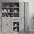 Aparador de madera de ingeniería gris Sonoma 40x42,5x185