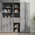 Aparador de madera de ingeniería gris hormigón 40x42,5x185
