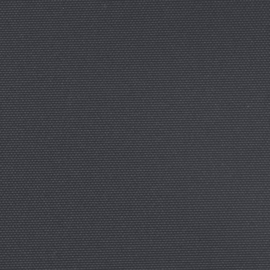 Toldo lateral retráctil negro 220x1000